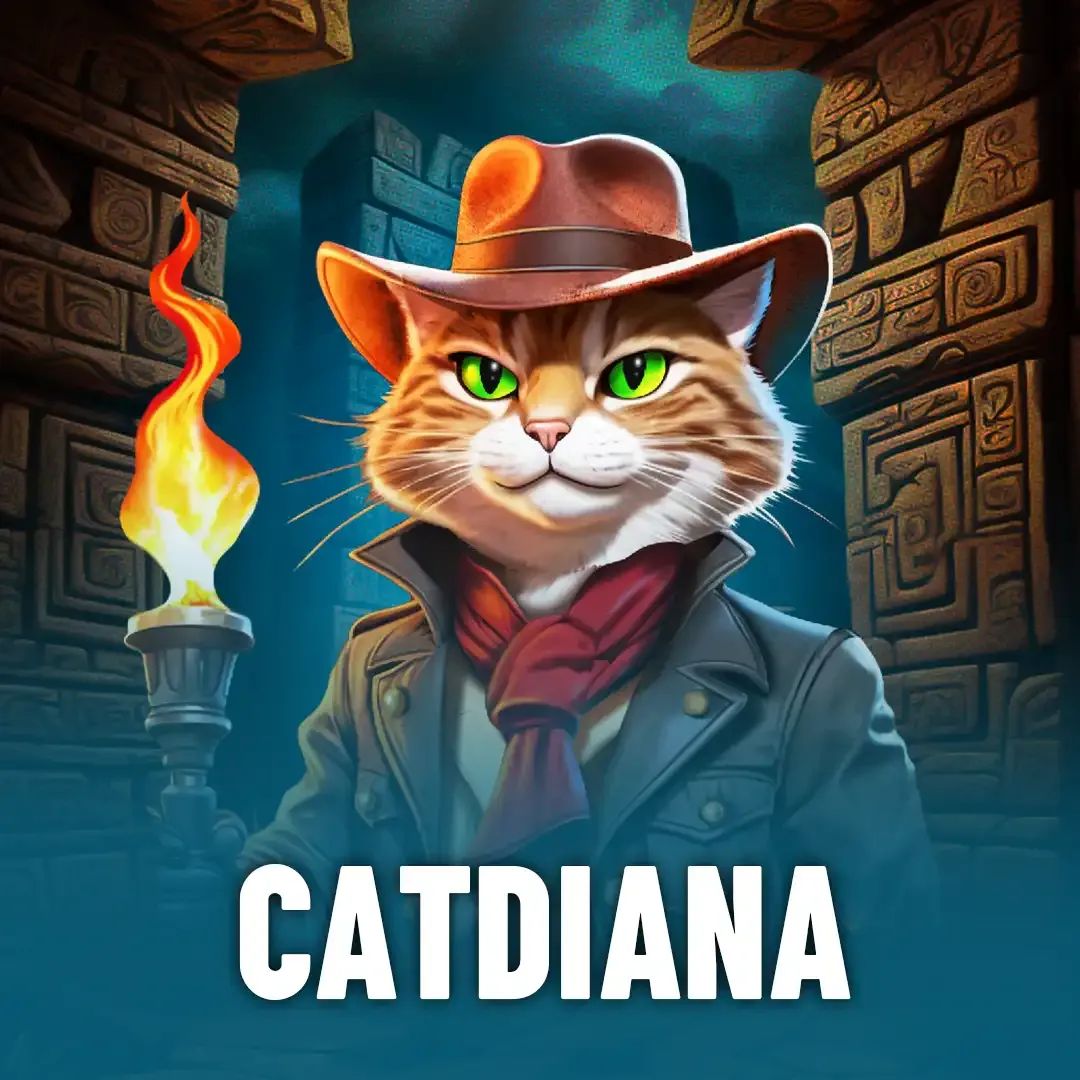 5567bet login