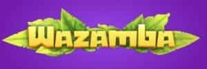 Blaze. com
