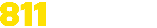 Pingolbet app - Betboo